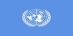 United Nations website